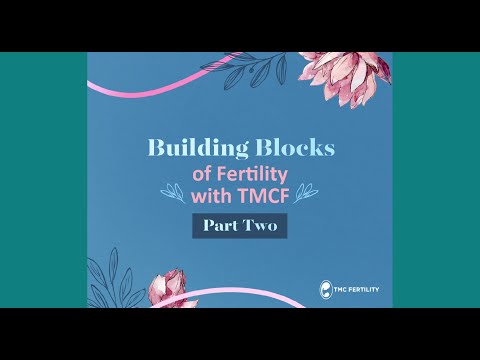 The Building Blocks of a Fertility Journey Pt. 2