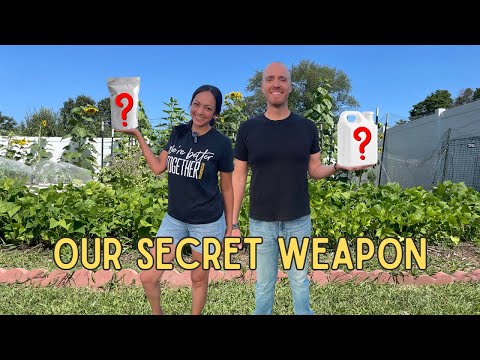 Best Organic Fertilizers for a Healthy Productive Garden + How to Use Them #urbanhomestead