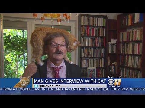 TV Commentator's Cat Climbs Onto His Head During Interview