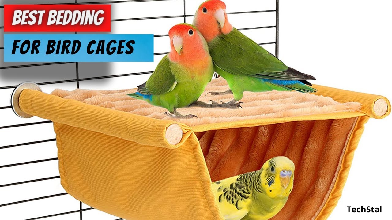 ✅ Top 5 Best Bedding For Bird Cages | Best Birdcage Bedding & Litter in [2023] (Buying Guide)