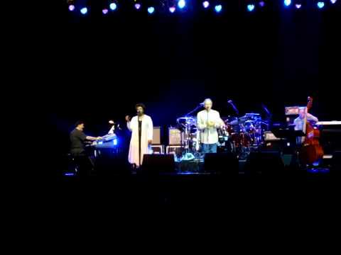 'The Man' Michael Franks - "The Lady Wants To Know" (LIVE)