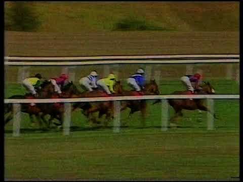 1990 Fay, Richwhite Sweet Solera Stakes