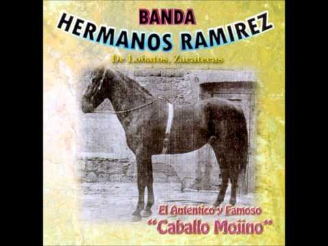 Javier Moreno y El Palomino-Banda Hermanos Ramirez De Lobato Zac.