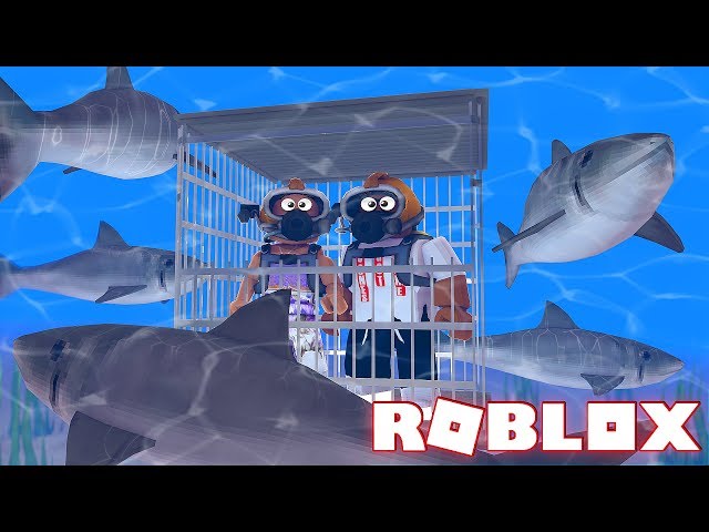 ROBLOX SHARK ATTACK (Roblox Shark Bite)