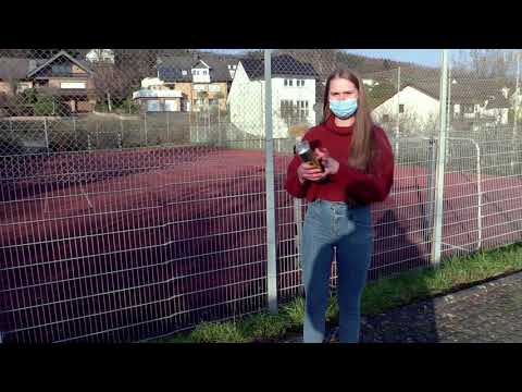 WWG-Adventskalender - Türchen 9: Unser Schulhof