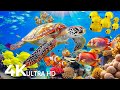Stunning 4K Underwater Nature Footage Relaxing Music The Best 4K Sea Animals For Relaxation