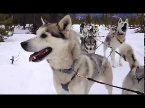 Jenna and Tiana Winter Park/Fraser Tubing/Dog Sled