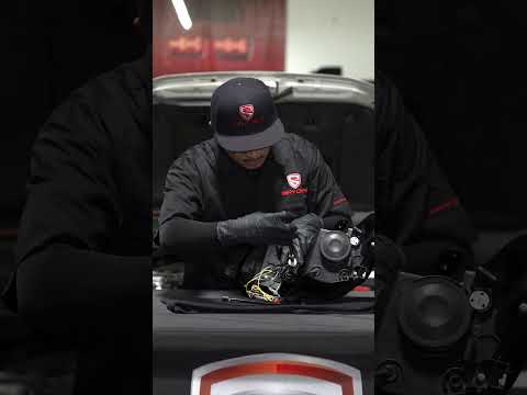 2015-2020 Subaru WRX STI Headlight - Transfer Harness
