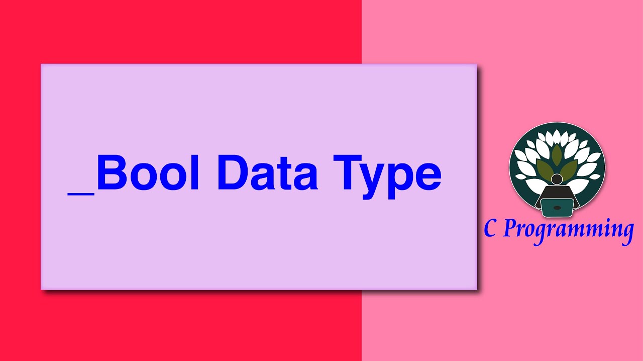 72 _Bool Data Type