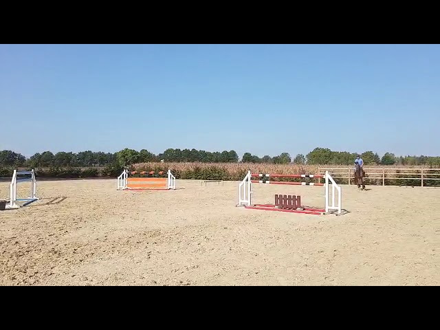 Colorado van de Windelsteen home Jumping
