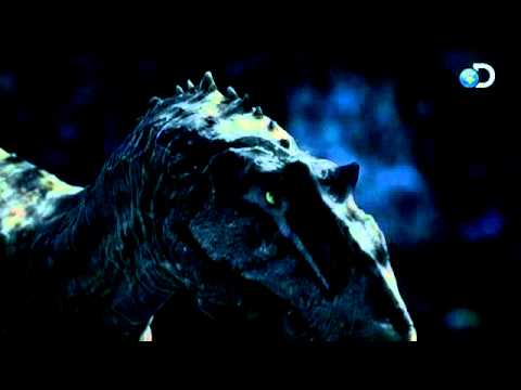 Dinosaur Revolution - Sleep Deprived