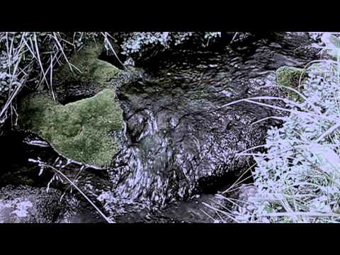 Vspolokh & Vikhr "Amongst mossy stones..."