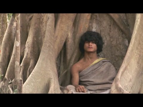 The Story Of The Little Bouddha