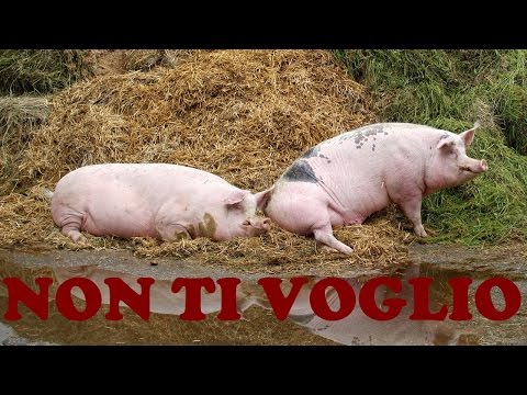 Mi Lasci?! Sei Una STRONZA!