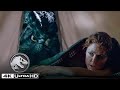 The Lost World Jurassic Park The T Rex Attacks The Camp