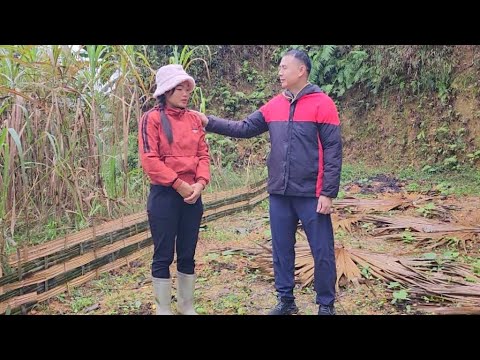 Hong was very sad when her chickens suddenly died, and Phong comforted her.