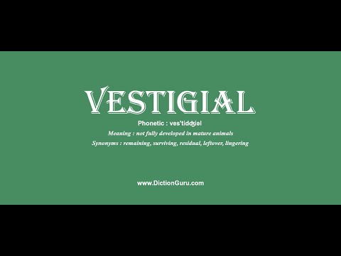 vestigial: Pronounce vestigial with Meaning, Phonetic, Synonyms and Sentence Examples