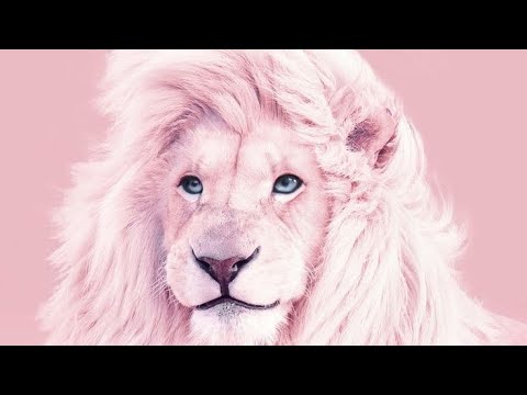 5 best ice cream flavors and my favorite sandwich at Wawa