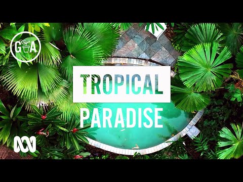 Tropical Garden Paradise | Garden Design and Inspiration | Gardening Australia