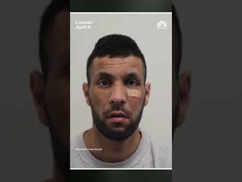 Man jailed for stealing handbag containing a Fabergé egg and watoh worth nearly $3 million