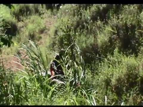 Recrutas da Lama 2013