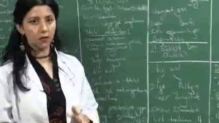 1-İslamiyet Öncesi Türk Tarihi Konu Anlatımı