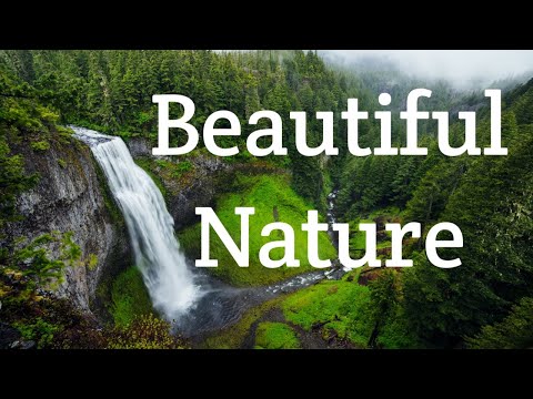 RELAXING BEAUTIFUL NATURE🍀