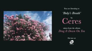 Ceres - Baby&#39;s Breath