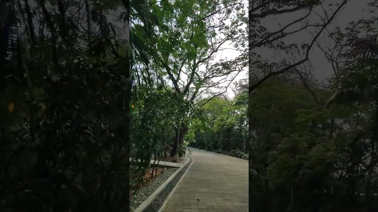 YouTube Short thumbnail