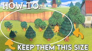 How to STOP Trees from Growing - Animal Crossing New Horizons