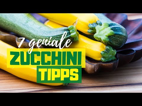 , title : 'ZUCCHINIS RICHTIG ANPFLANZEN | 7 Zucchini Tipps für eine riesige Ernte leckerer(!) Früchte'