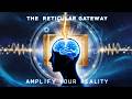 The Reticular Gateway Bisochronic Activation Of The RAS Reality Amplification Protocol