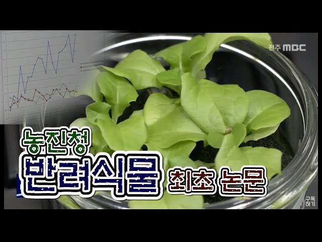 식물과 사람에게 반응한다