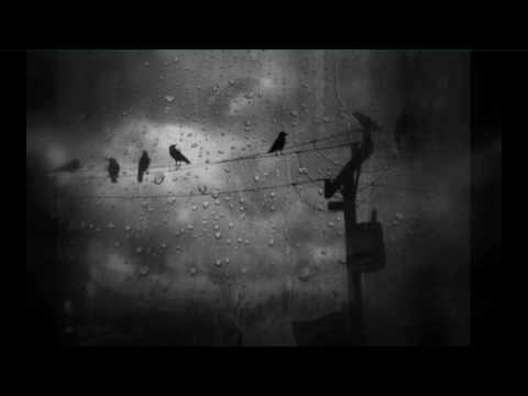 Mưa đầu ngõ - Diệu Hiền