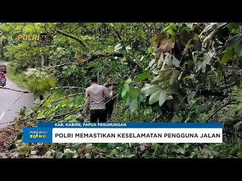 KAPOLSEK UWAPA POLRES NABIRE BESERTA PERSONEL BERSIHKAN POHON YANG TUMBANG