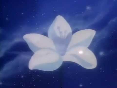Love Position: The Legend of Halley Forever My Love Yoko Nagayama