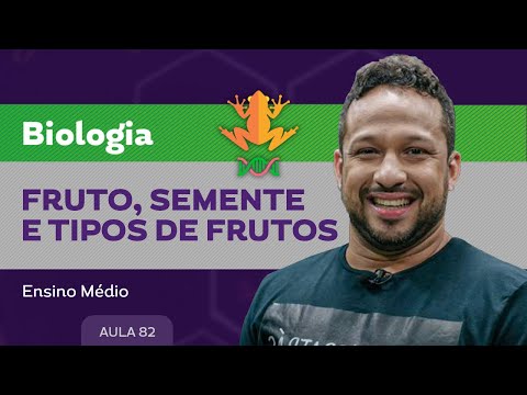 Fruto, semente e tipos de frutos - Biologia - Ensino Médio