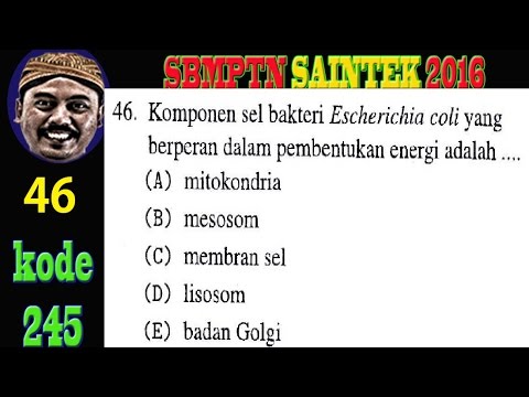 Setelah pengangkatan prostat adalah potensi Exciter buy di Donetsk