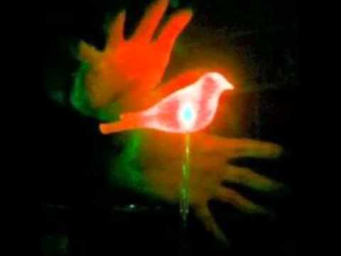 Alex Meshkov - live @ zebra club (bacau)-line-20.09.2008