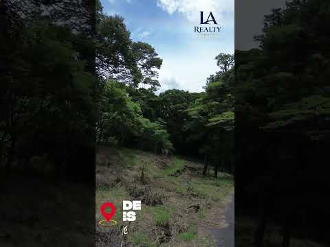 🌿 Quinta de 3,900 m² con Bosque | San Pablo de Turrubares