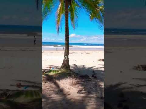 Praia #paraiso #ilhéusbahia #youtubeshorts