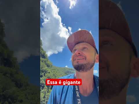 Localizado em Prudentópolis Paraná Saúde São Francisco da 196.