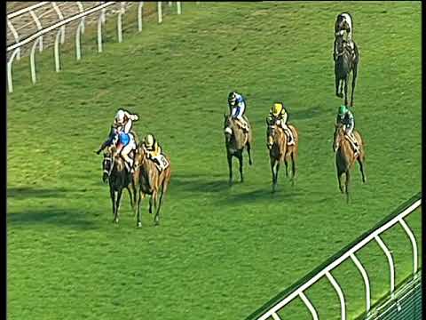 Galoppo 20/02/2018 - 5ª corsa