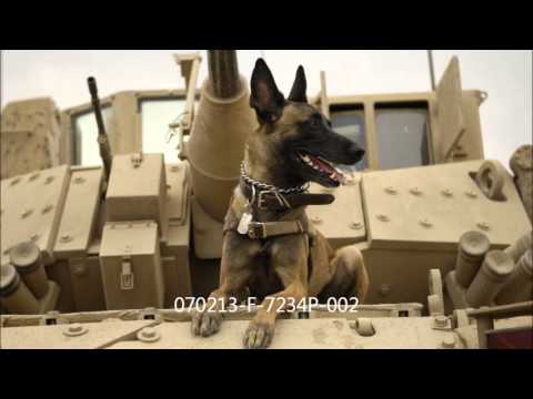 Sorry Boys - Zimna Wojna