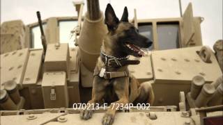 Sorry Boys - Zimna Wojna