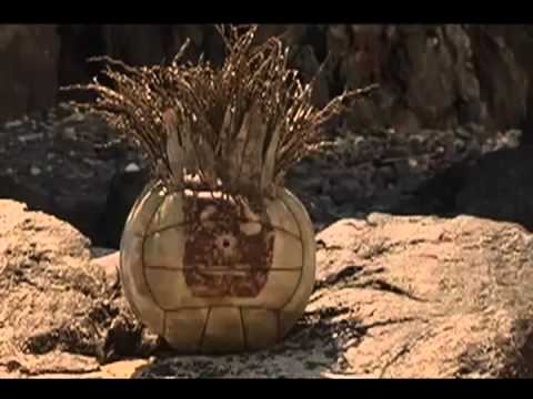 Bubba e Gump Verze 2 in dialetto Veneto