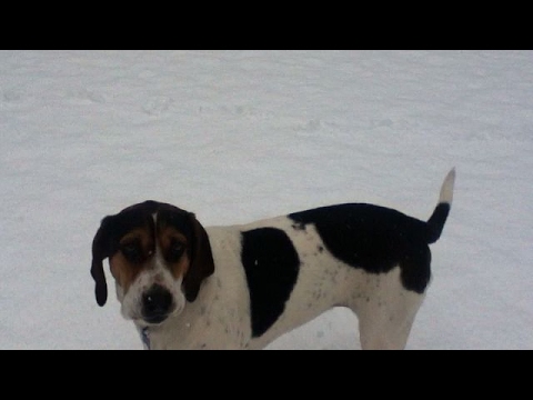Tuco in the Snow!