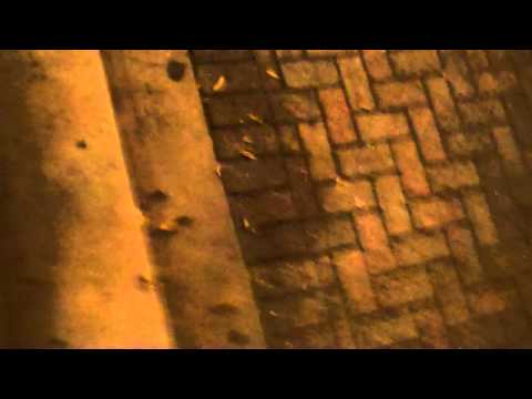 Fahrenheit 360° Firespinning 101411 Dean Zeller being really annoying to Crystal Johns to 'Der Superfreak Kommissar' by Rick James vs  Falco