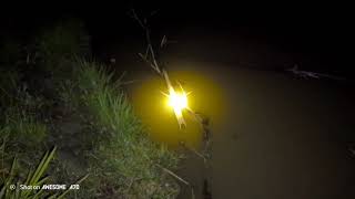 ພາ M4 ອອກລ່າກົບໝານຄືເກົ່າ