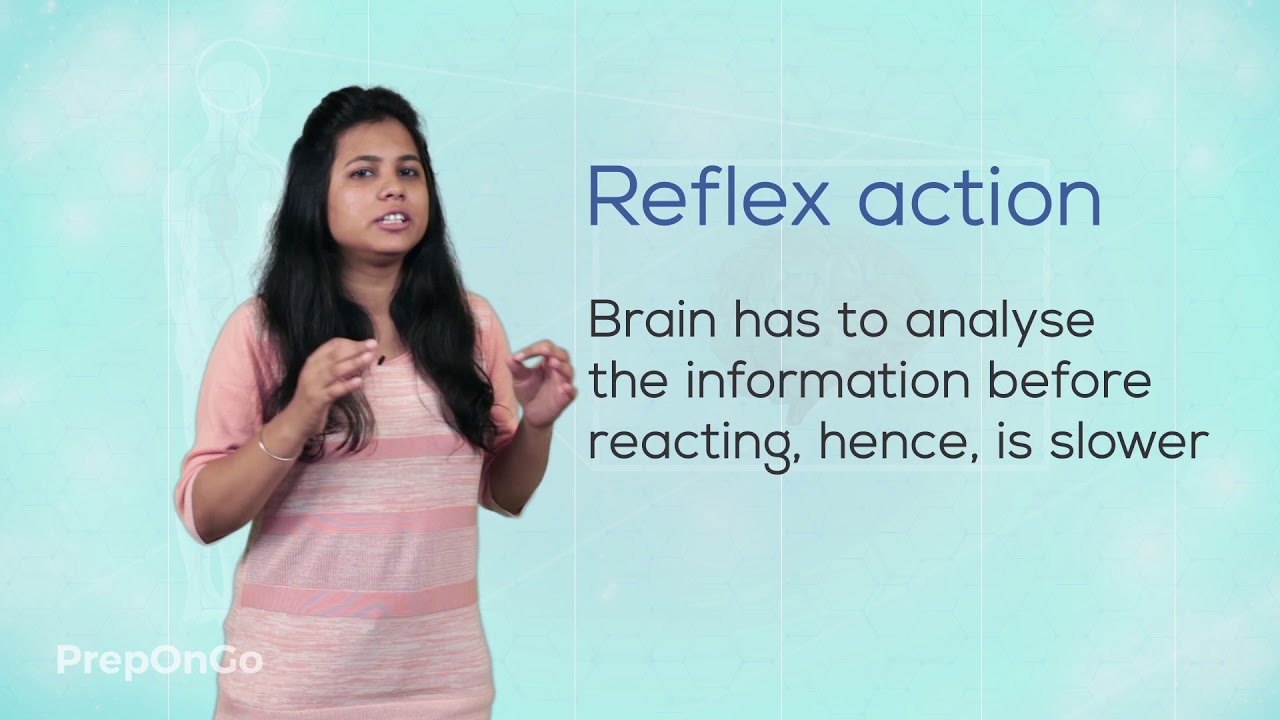 Control and Coordination -3| Control and Coordination in Humans | What are reflex actions | Class 10